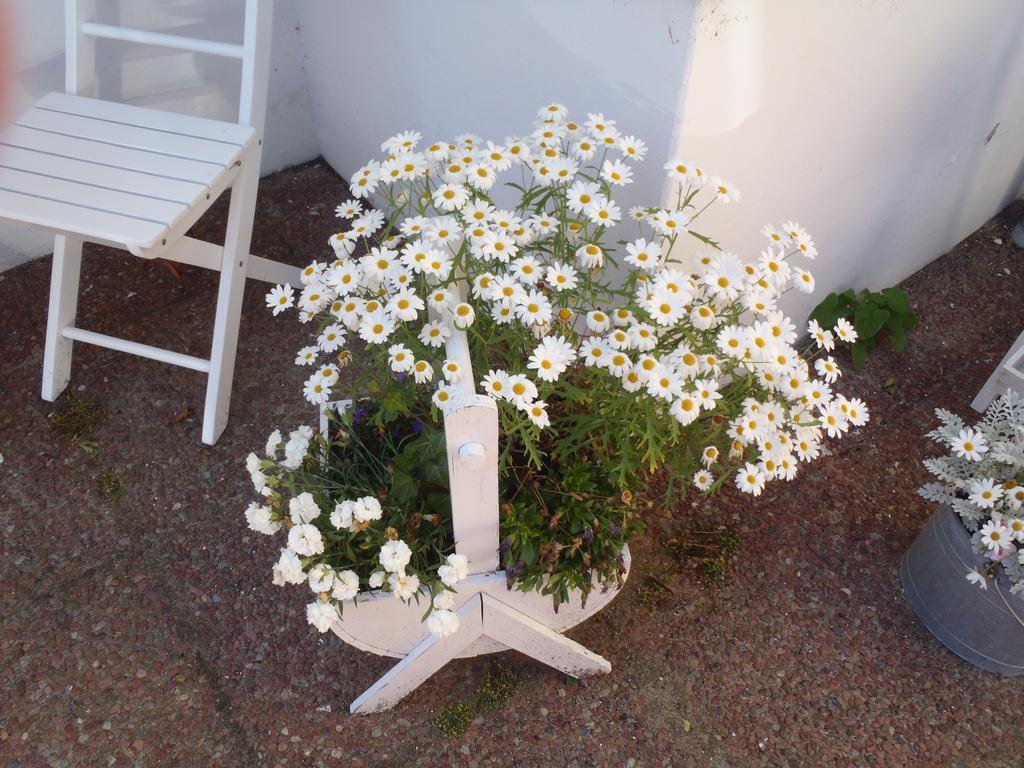 Oddevej 20 Skagen Hotel Exterior photo